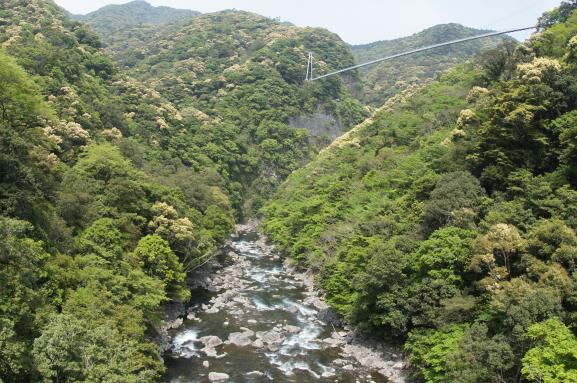 綾の照葉大吊橋-7