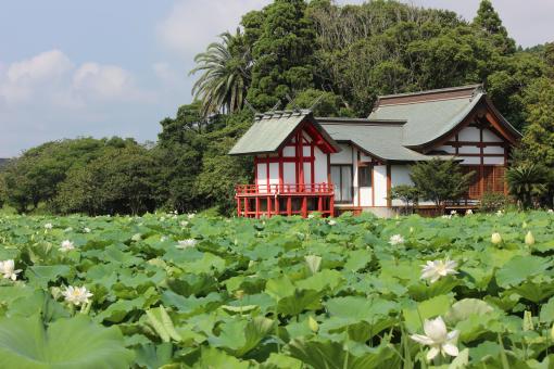 湖水池、水沼神社-3