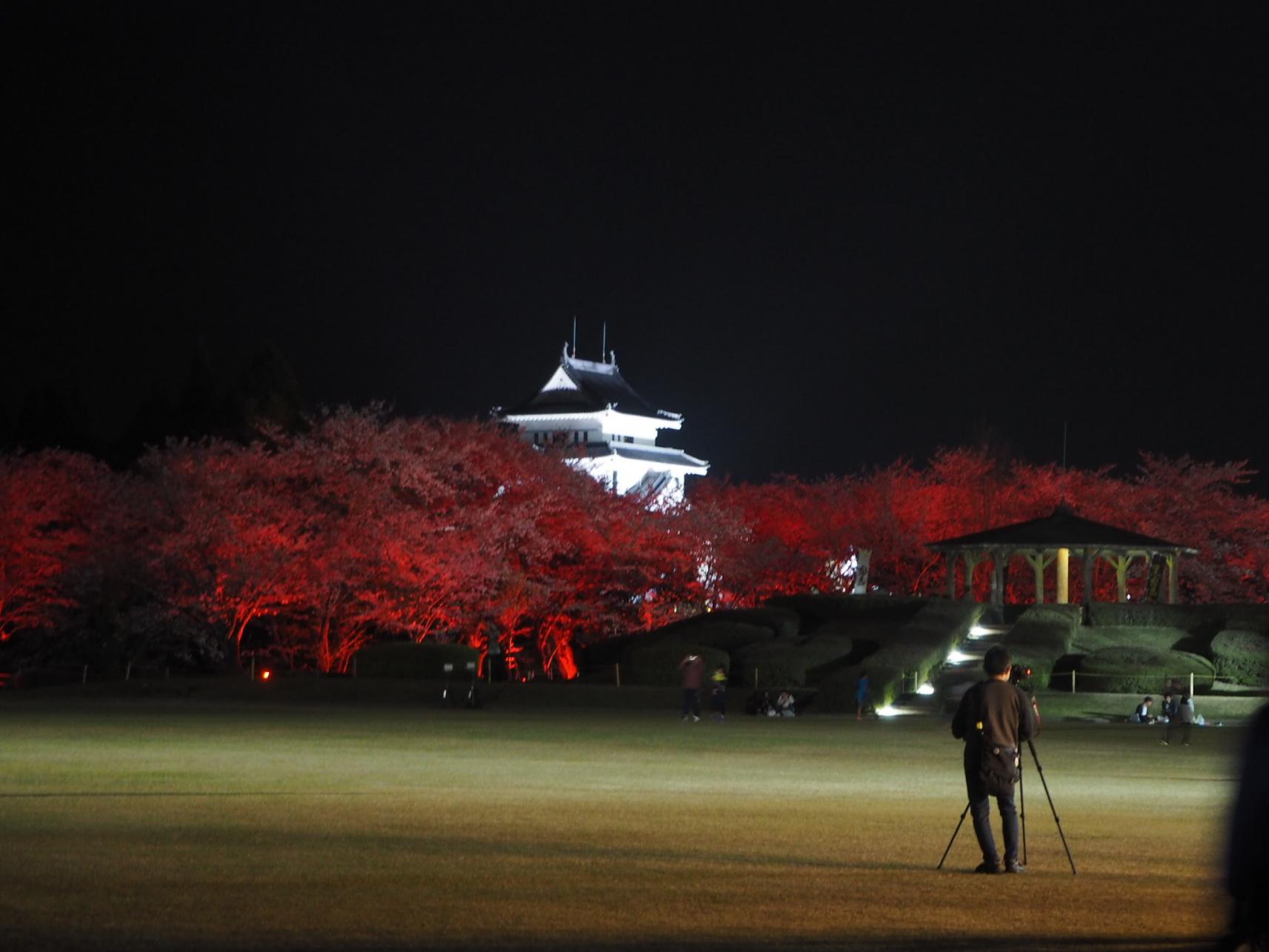 天ヶ城公園-6