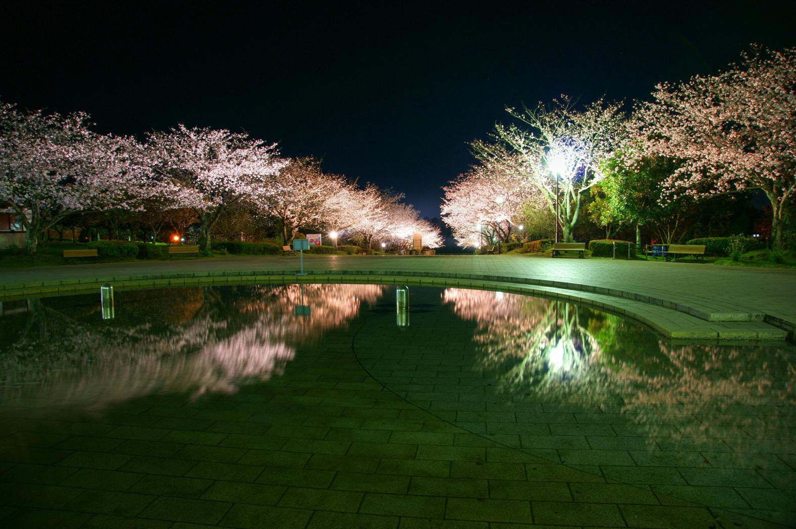 天ヶ城公園-7